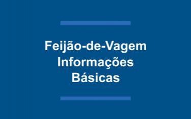 Feijão-de-Vagem Informações Básicas