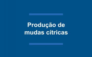 Produção de mudas cítricas