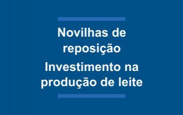 Novilhas de reposição investimento na produção de leite