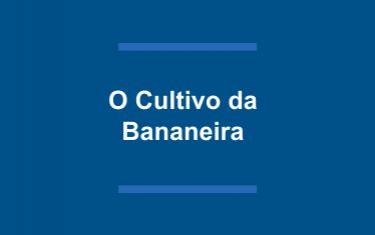 O Cultivo da Bananeira