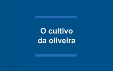 O cultivo da oliveira