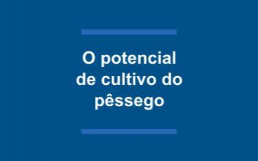 O potencial do cultivo do pêssego