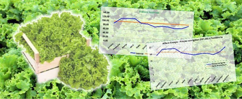 Análise de preços e comercialização da alface