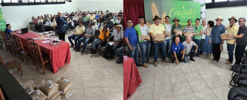 Resultados de pesquisa da Pesagro com a cultura do arroz