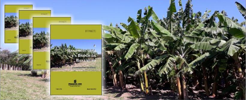 Prevenção e controle da broca da bananeira