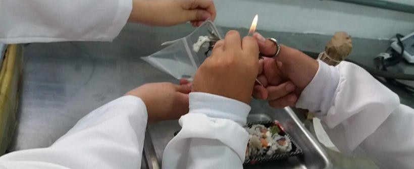 Centro de Pesquisa da Pesagro controla a qualidade da carne de todo o estado