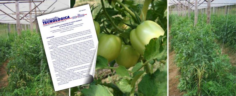 Custo variável da produção de tomate orgânico em cultivo protegido