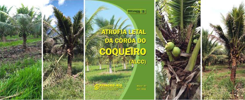 Atrofia Letal da Coroa do Coqueiro - ALCC