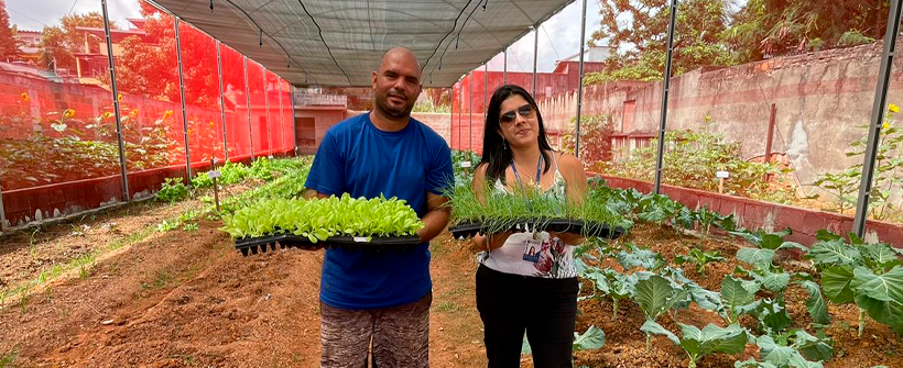 PESAGRO-RIO entrega mudas para estufa comunitária de São João de Meriti