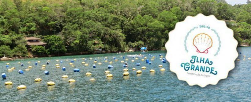 Registro de Indicação Geográfica das vieiras da Baía da Ilha Grande é discutida por Grupo Gestor