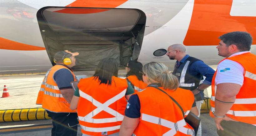 Procon-RJ e CRMV-RJ autuam companhias aéreas por irregularidades no transporte de animais