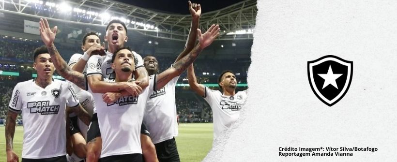 Botafogo vence o Palmeiras e reassume a liderança do Campeonato Brasileiro