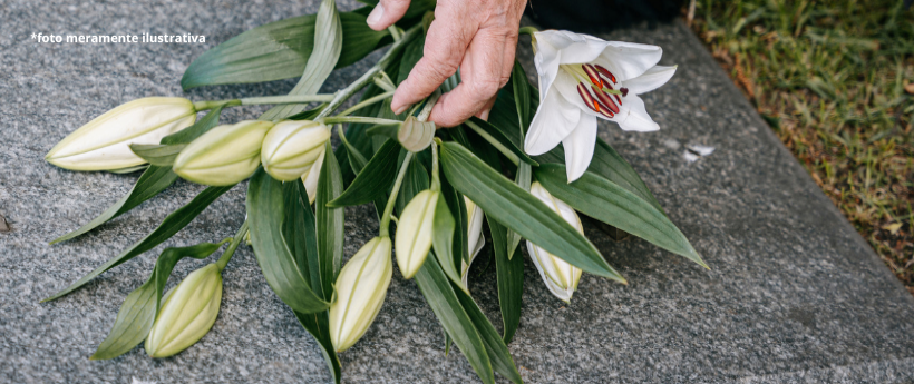 Despedida Final de Jards Macalé