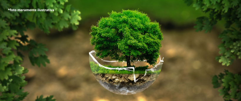 Projeto Planta + Rio