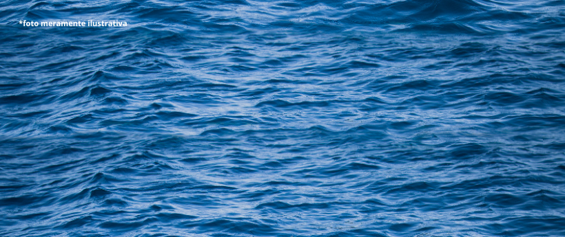 Niterói sediará segunda edição do Tomorrow Blue Economy