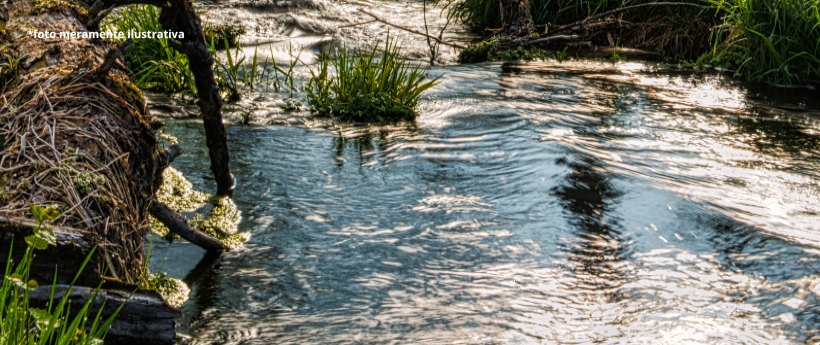 Rio cria Programa de Proteção das Nascentes de Água