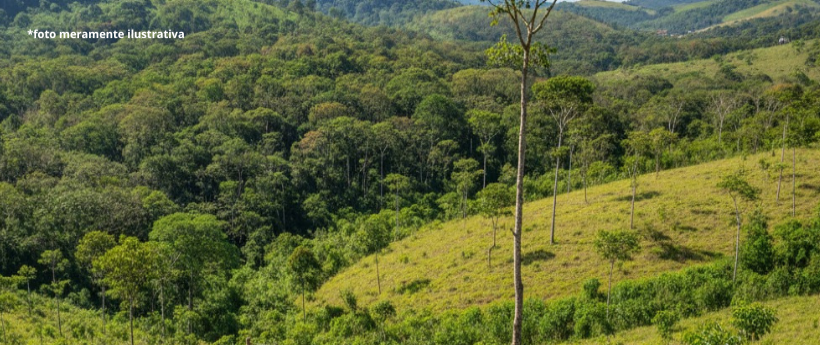 Incêndios florestais em Nova Iguaçu têm redução de 78% em 2025