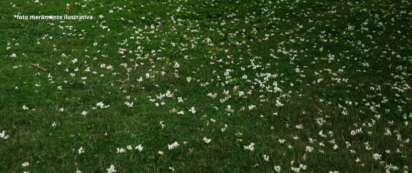 Museu da República celebra 65 anos com programação gratuita