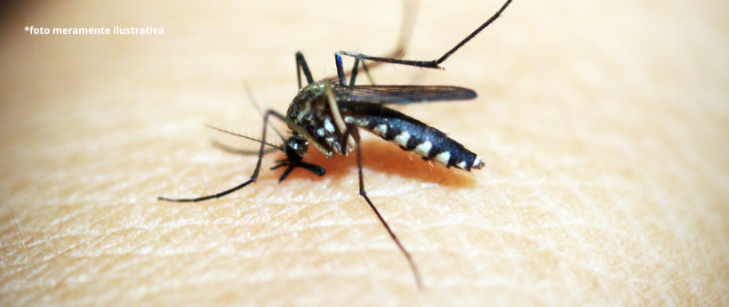 São Gonçalo realiza Dia D de Combate à Dengue