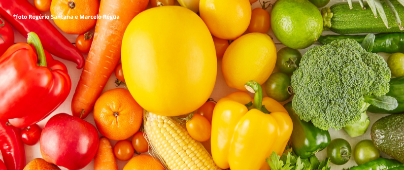 Funcionamento da Ceasa após o incêndio