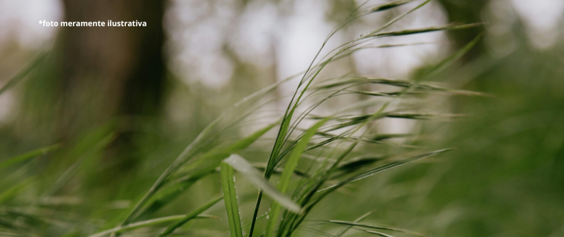 Ventos fortes causam 22 ocorrências em Petrópolis