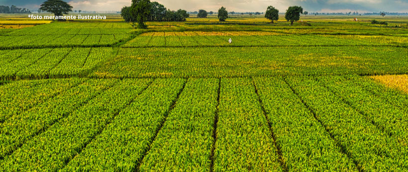 Programa de capacitação rural no município do Rio