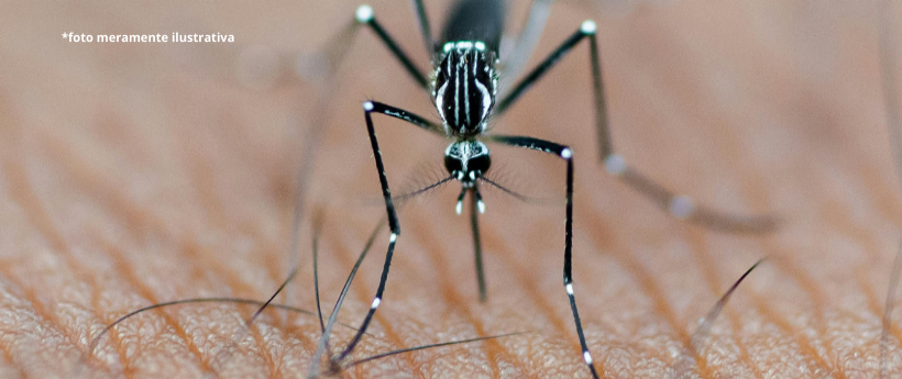 Prefeitura intensifica ações contra dengue, zika e chikungunya