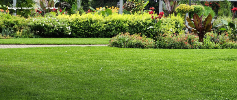 Horto dos Quatis passa a integrar guia educacional de ensino de ciências