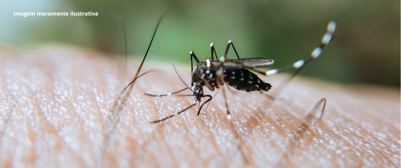 Secretaria de Saúde intensifica combate ao mosquito Aedes aegypti