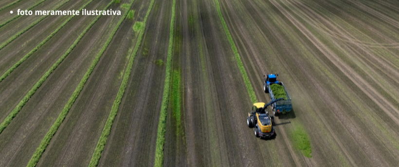 Cresce a participação feminina no agronegócio do Rio de Janeiro