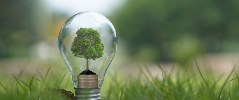 Destaque ambiental de Saquarema