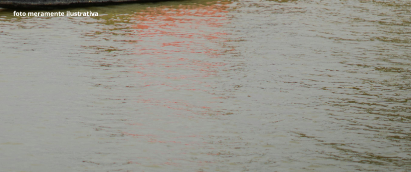 Duque de Caxias, na Baixada Fluminense, ainda tem diversos bairros debaixo d'água no 2º distrito do município, após o temporal do fim de semana.// A cidade teve o maior acumulado de chuva do estado do Rio de Janeiro.// Campos Elíseos foi uma das áreas mais afetadas.// Pontos como Jardim Primavera, Saracuruna, bairro Maria Helena, Figueira e Pantanal estão alagados.//  Carros enguiçaram por conta da água e pessoas se arriscaram tentando sair na enchente.//  Oito escolas não tiveram aulas hoje por conta da si
