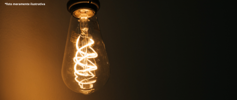 Árvore cai sobre postes e causa interrupção de energia em Paquetá