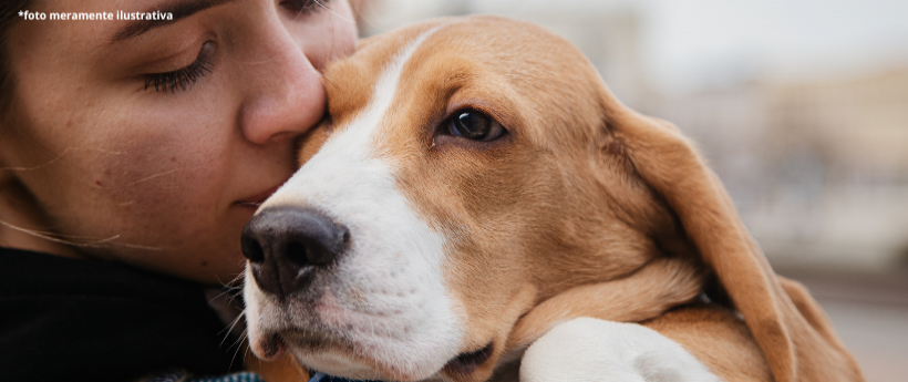 Foi aprovada pela Câmara Municipal do Rio uma lei que cria a campanha Outubro Caramelo, para chamar a atenção sobre o bem-estar animal./// Com a medida, o município visa esclarecer a população sobre os benefícios da castração para prevenir doenças, especialmente o câncer; além de incentivar a posse responsável./// A campanha será realizada anualmente, sempre no mês de outubro, coincidindo com o Dia Mundial dos Animais, celebrado em 4 de outubro.