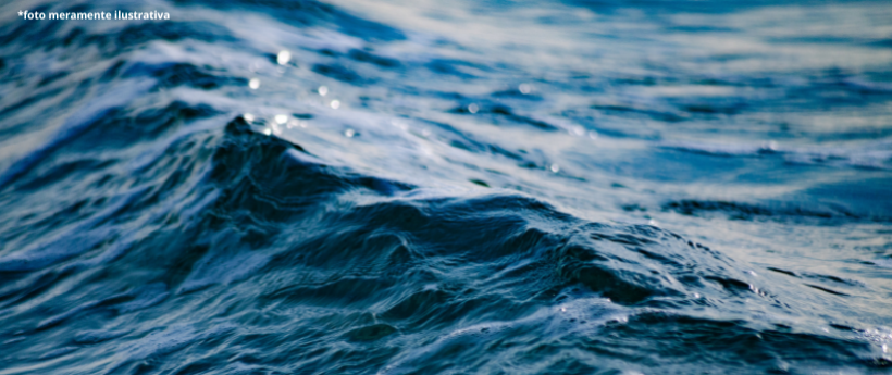 Baleia é atingida por embarcação em Arraial do Cabo