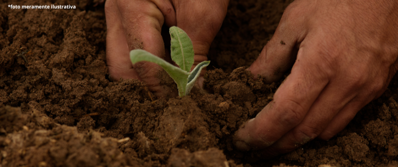 GOVERNO LANÇA SEGUNDA ETAPA DO PROJETO AGRICULTURA SOCIAL NA REGIÃO SERRANA