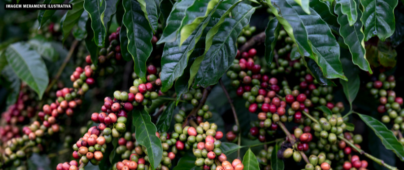 ExpoRio Turismo destaca potencial do Vale do Café em Barra do Piraí