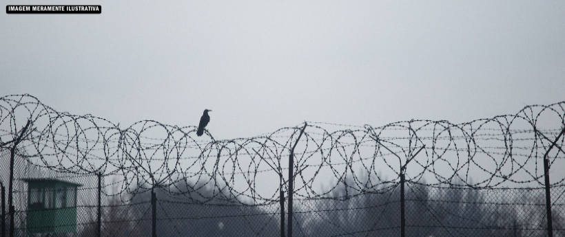 Polícia prende dono de empresa suspeita de golpe milionário