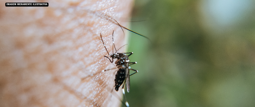 Saúde pública em foco: prevenção e combate às arboviroses na cidade do Rio