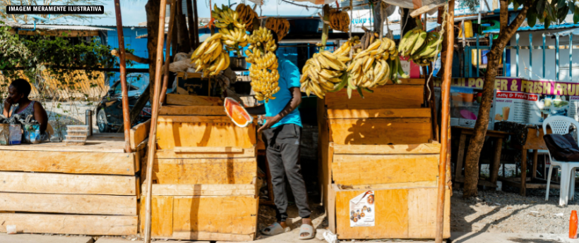 Operação de ordenamento apreende mercadorias e corta ligações clandestinas em Vicente de Carvalho