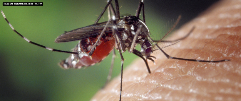 Aumento de casos de dengue em Miracema