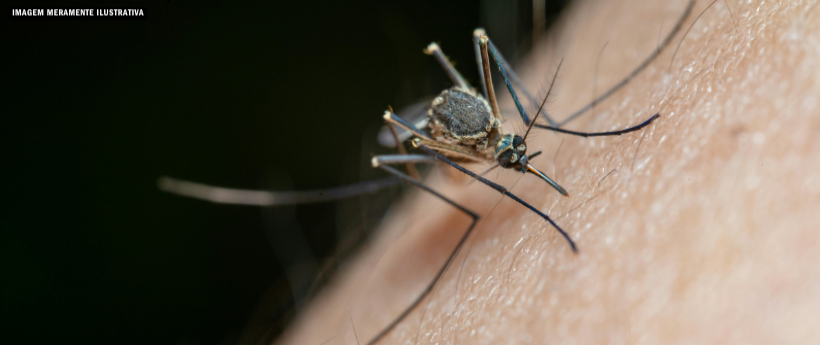 Secretaria Municipal realiza ações de prevenção às arboviroses