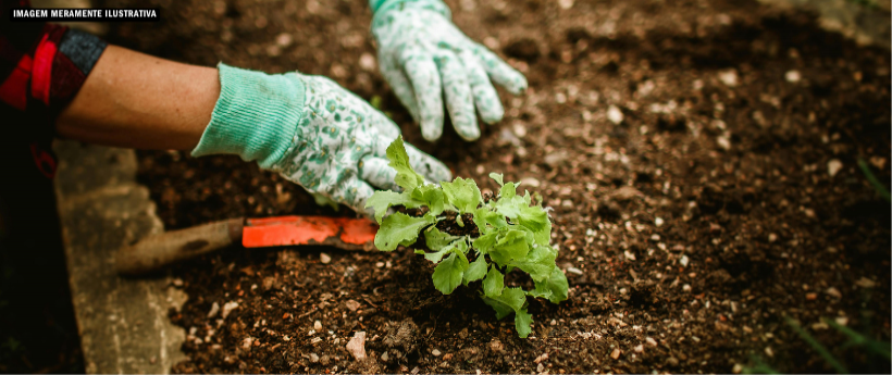 Evento une cultura e economia circular na Zona Norte