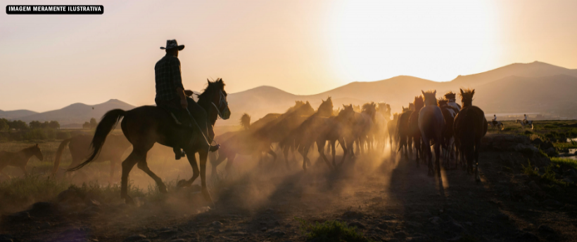 Rio Claro retoma concurso de Rainha da Festa do Peão após mais de 10 anos