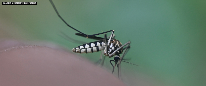 Prefeitura intensifica ações de combate à dengue em 14 bairros do Rio ao longo da semana