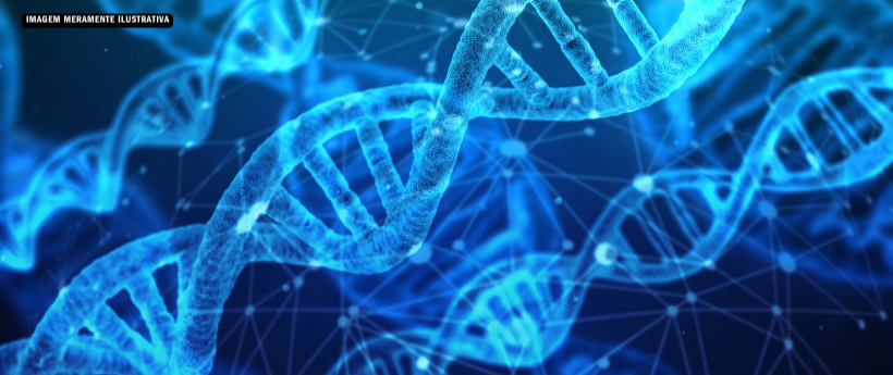 Reconhecimento de paternidade: Quadra da Mocidade Unida recebe ação da Defensoria Pública