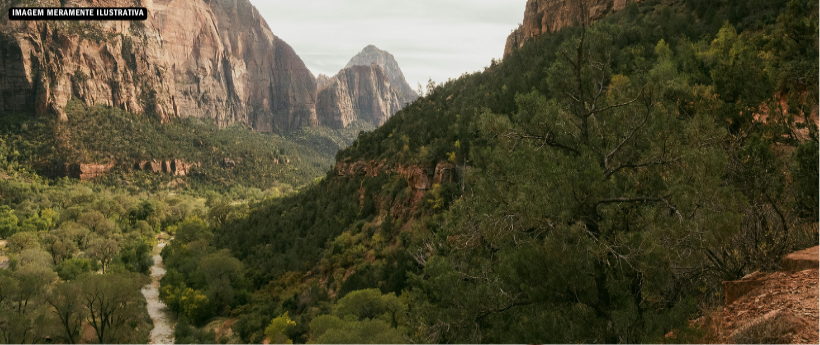 Parque Nacional da Tijuca bate recorde e ultrapassa 4,9 milhões de visitantes em 2025