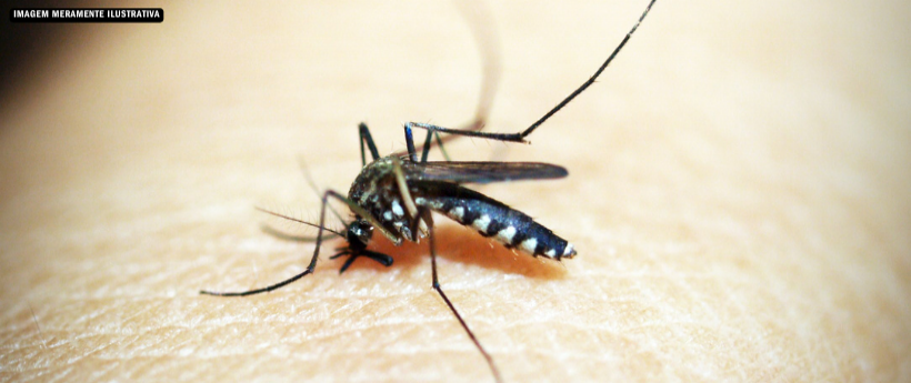 Prefeitura intensifica ações contra dengue, zika e chikungunya em 15 bairros do Rio