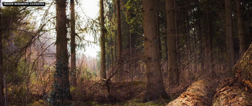 Arena Dicró promove programação gratuita com oficinas e atividades de agroecologia no feriadão