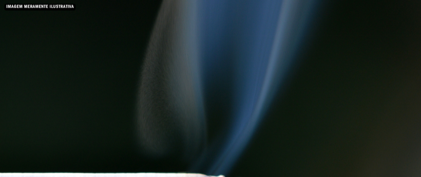 Polícia inicia incineração de 48 toneladas de maconha, maior apreensão da história do país